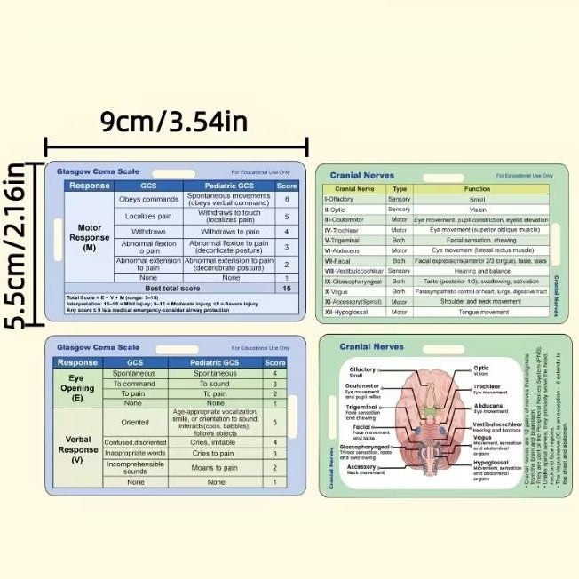 Medical Flashcards - Glasgow Coma Scale and Cranial Nerves (2 cards)