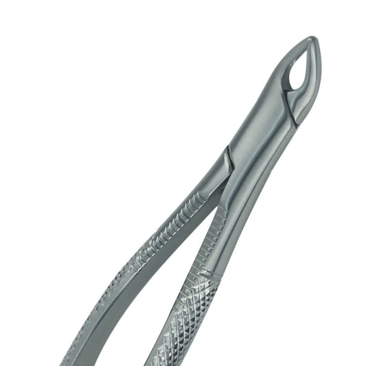 Extracting Forceps, American Pattern #2
