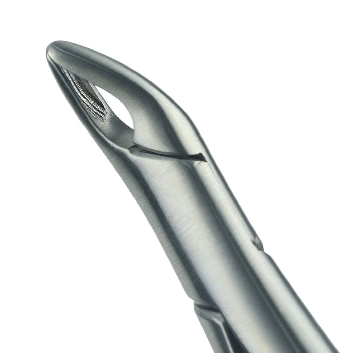 Extracting Forceps, American Pattern #2