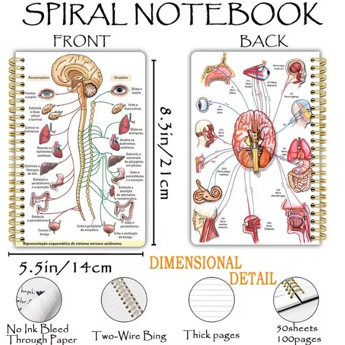 Notebook - The Autonomous Nervous System