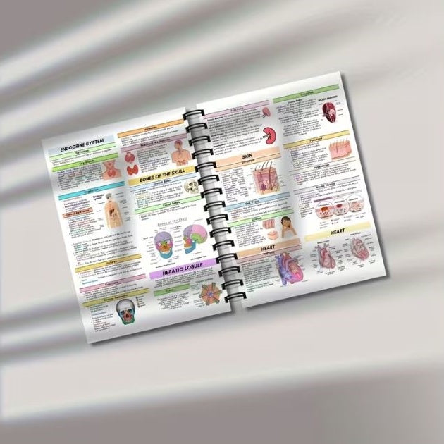 Notebook - Human Body Structure Visual Anatomy