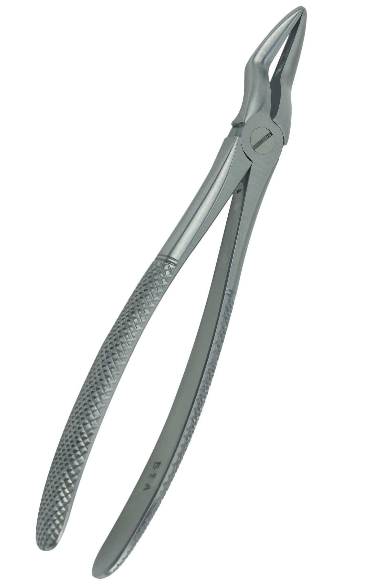 English Pattern Extracting Forcep, 52A