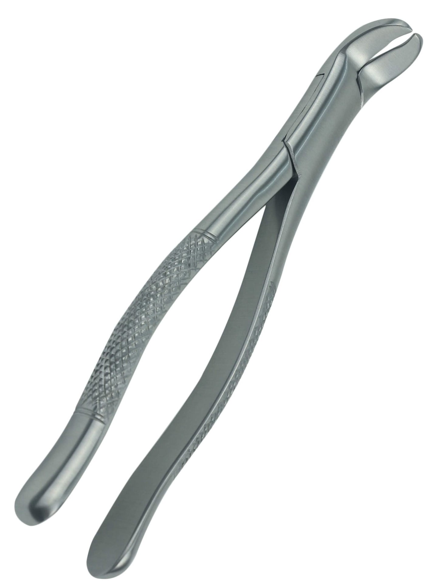 Physick Extracting Forcep, #5