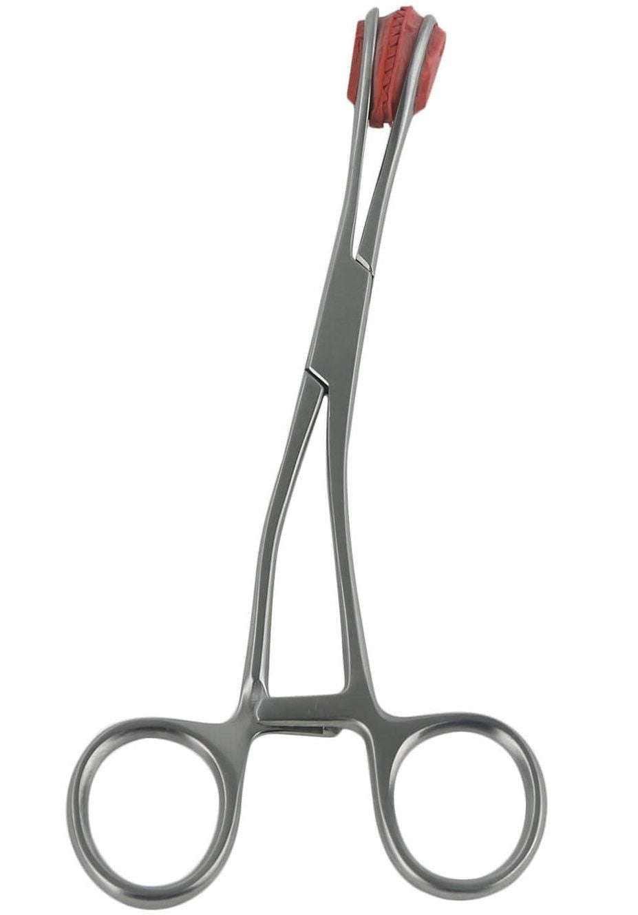 Young Tongue Holding Forceps