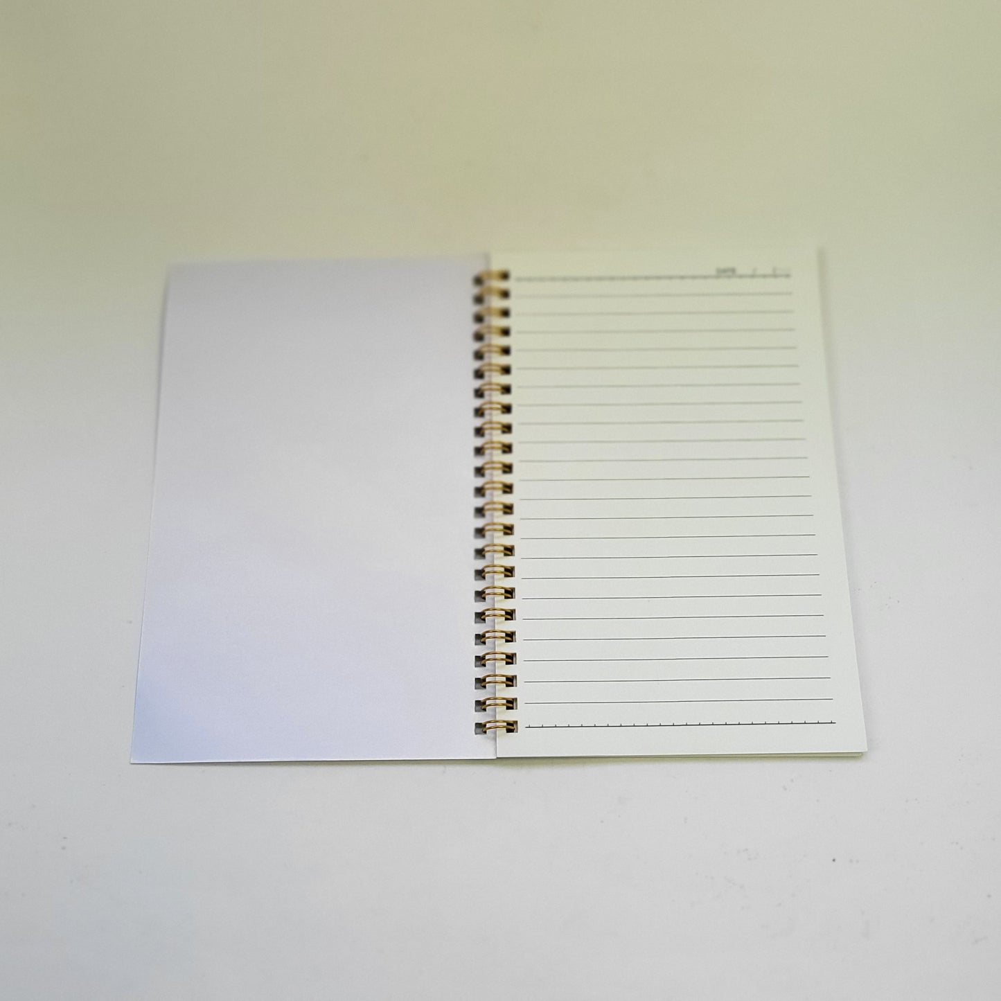 Notebook - Cardiovascular System