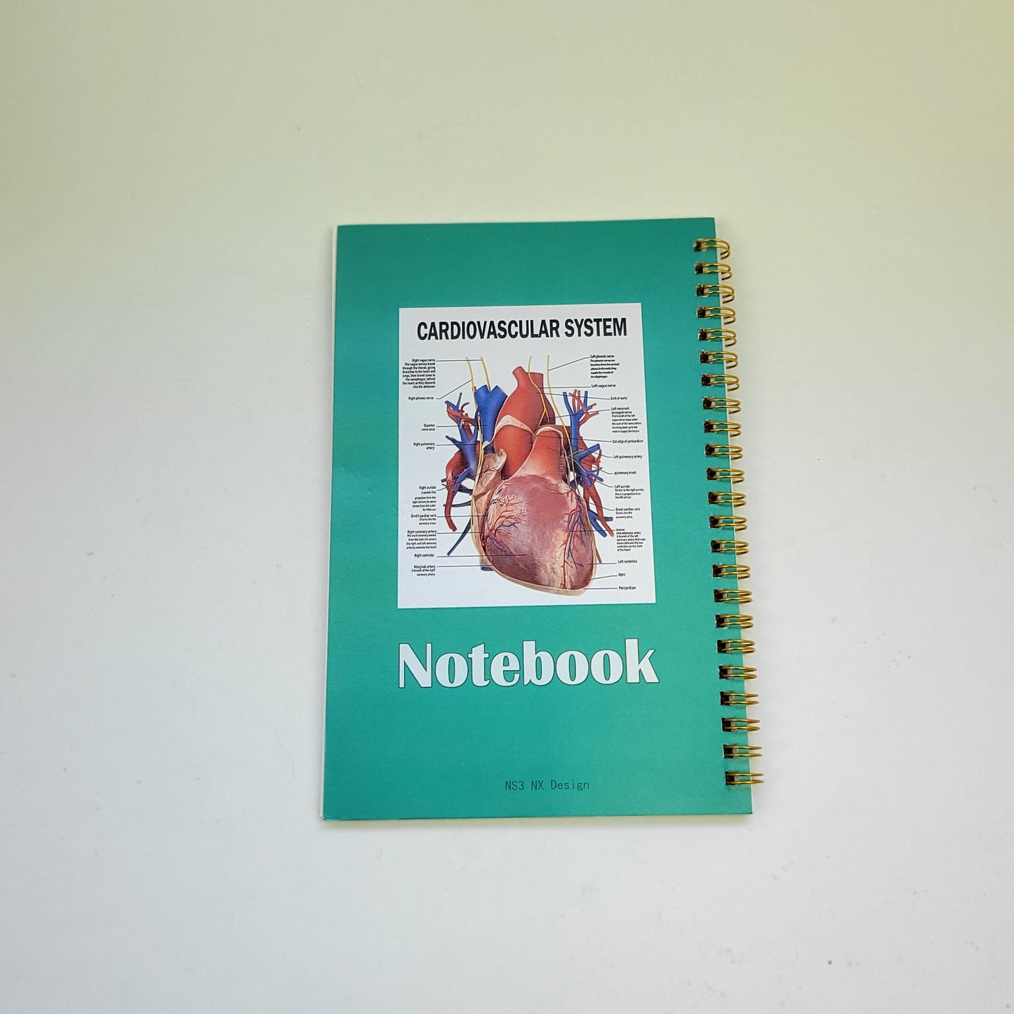 Notebook - Cardiovascular System
