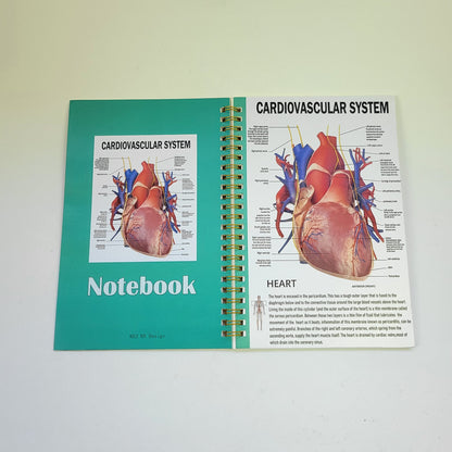 Notebook - Cardiovascular System