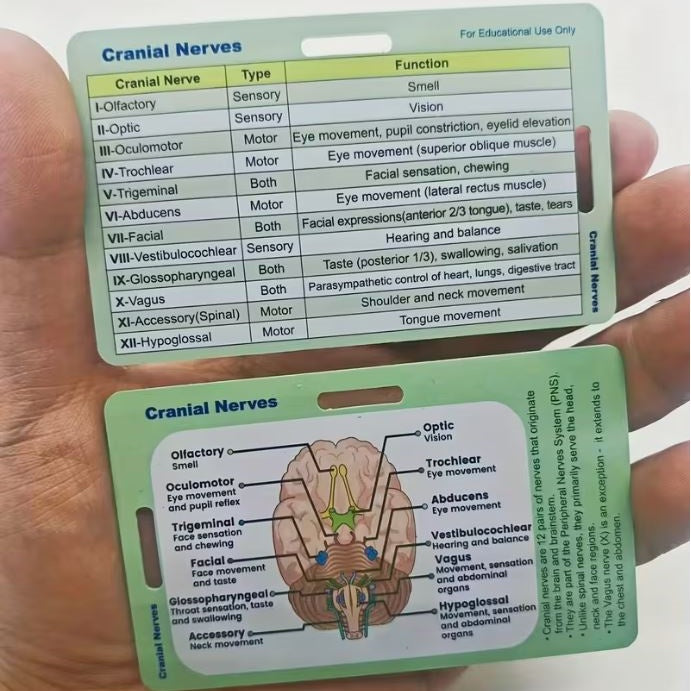Medical Flashcards - Glasgow Coma Scale and Cranial Nerves (2 cards)
