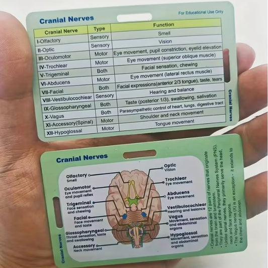 Medical Flashcards - Glasgow Coma Scale and Cranial Nerves (2 cards)
