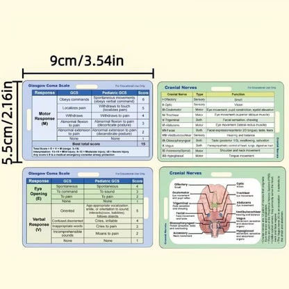 Medical Flashcards - Glasgow Coma Scale and Cranial Nerves (2 cards)