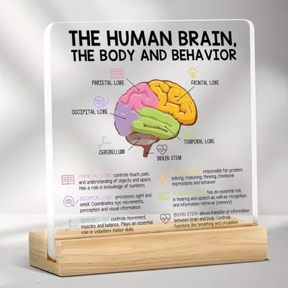 Desktop Decor - The Human Brain, Acrylic Plaque