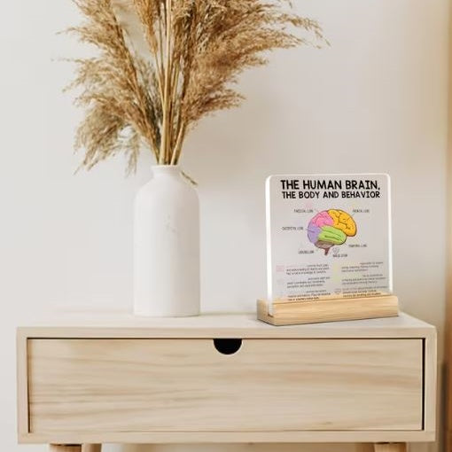 Desktop Decor - The Human Brain, Acrylic Plaque