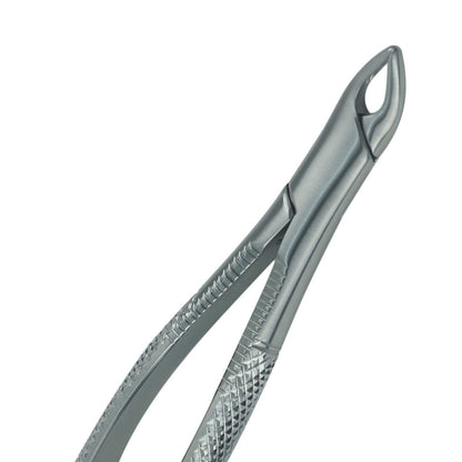 Extracting Forceps, American Pattern #2