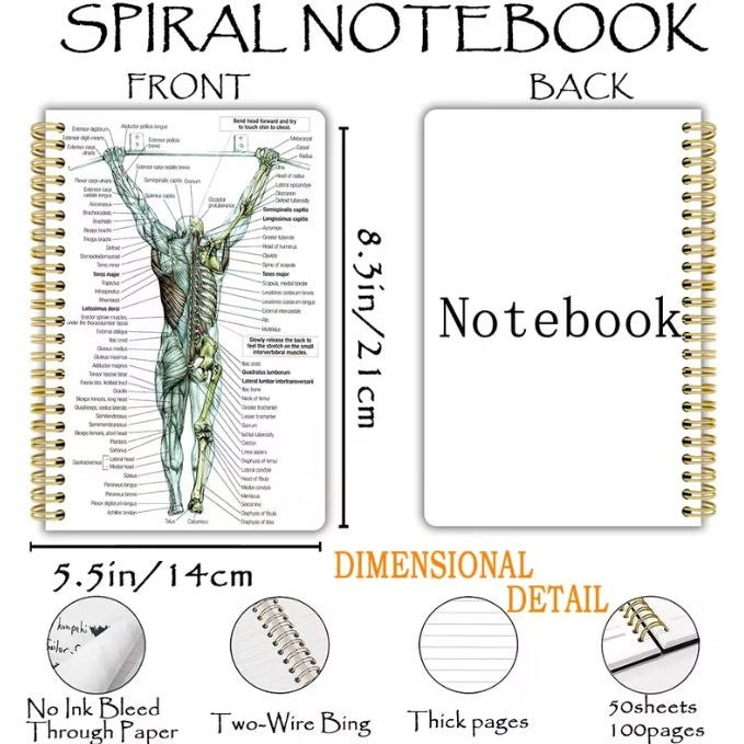 Notebook - Human Back Muscle Anatomy
