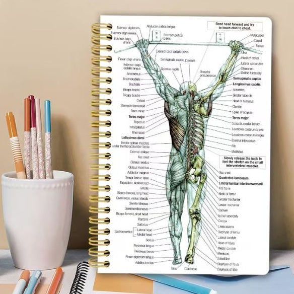 Notebook - Human Back Muscle Anatomy