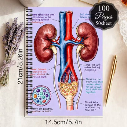 Notebook - Aesthetics Medicines Anatomy