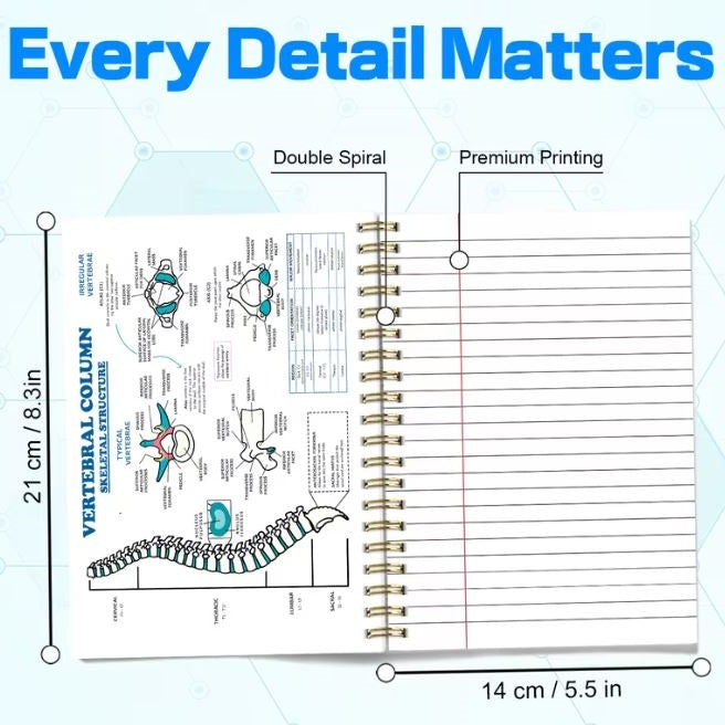 Notebook - Human Anatomy, Core Knowledge Diagram