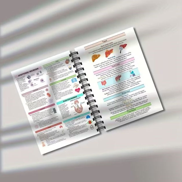 Notebook - Human Body Structure Visual Anatomy