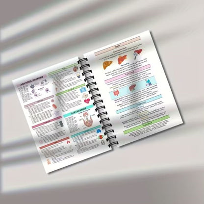 Notebook - Human Body Structure Visual Anatomy