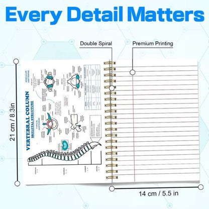 Notebook - Human Anatomy, Detailed Overview of Key Systems