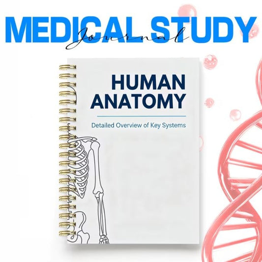 Notebook - Human Anatomy, Detailed Overview of Key Systems