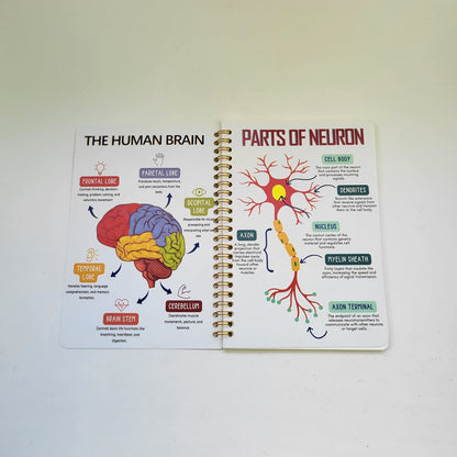 Notebook - Parts of Neuron