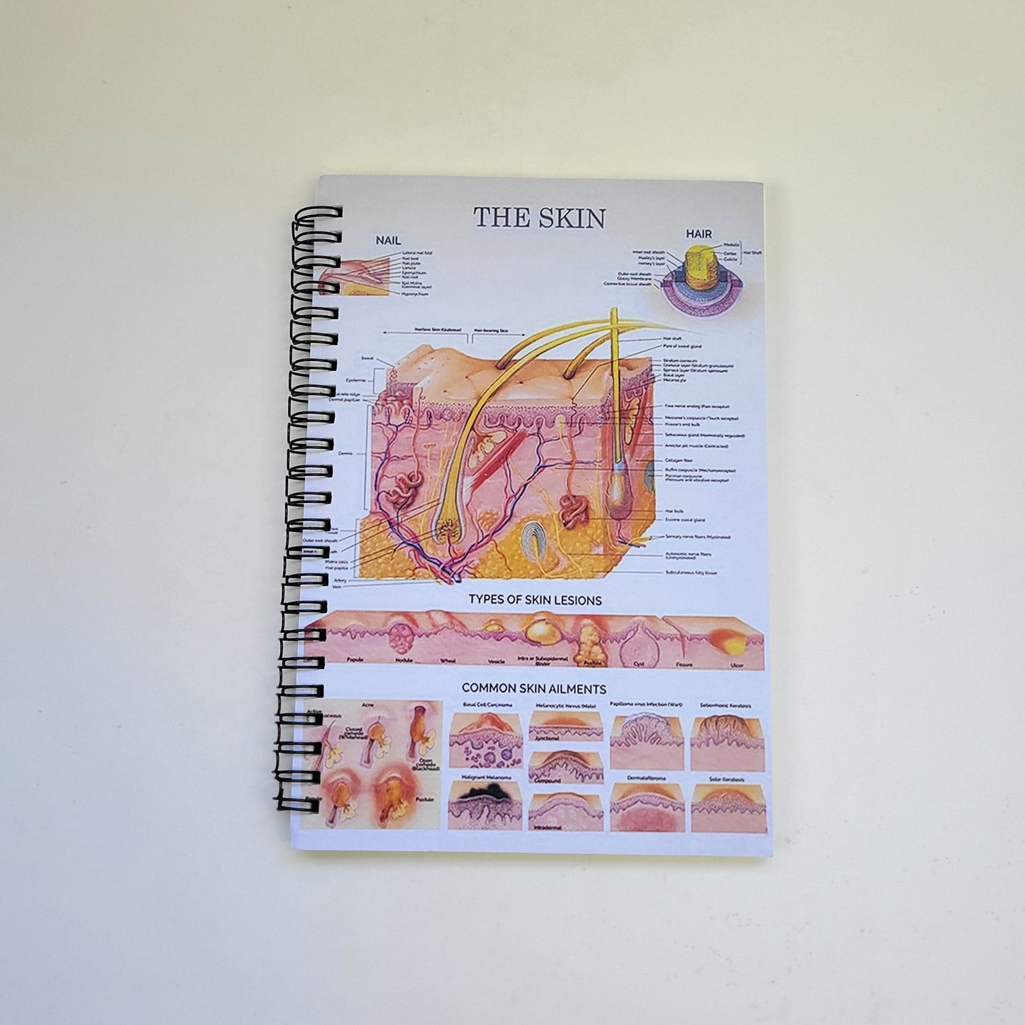 Notebook - The Skin