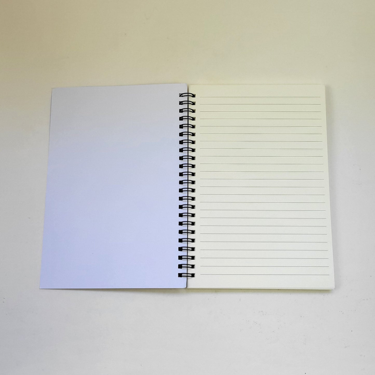 Notebook - The Skin