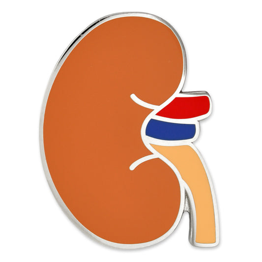 Pin Body Part - Human Kidney, 2