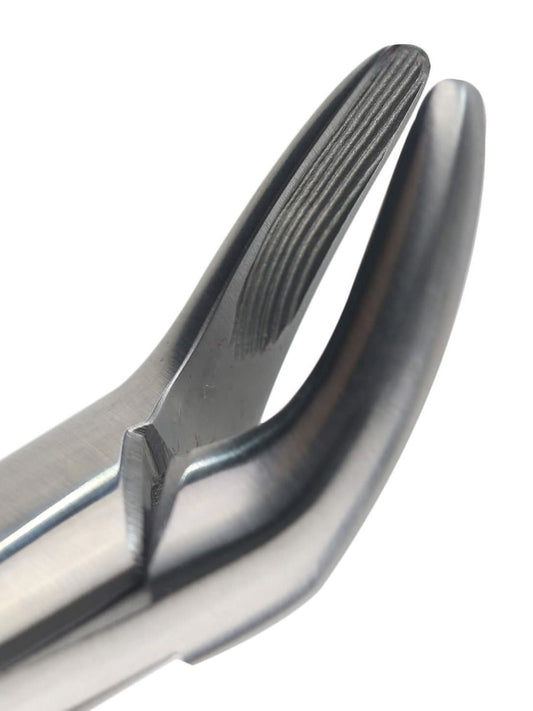 151A Cryer Extraction Forcep