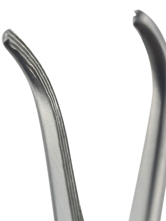 Lahey Gall Duct Forcep, 220mm