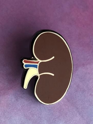 Pin Body Part - Human Kidney